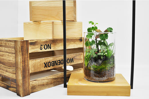 水晶森林 商品图2