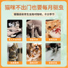 【内外同驱】海乐妙米尔贝肟片猫咪驱虫药猫专用56mg单颗拆售 商品缩略图2