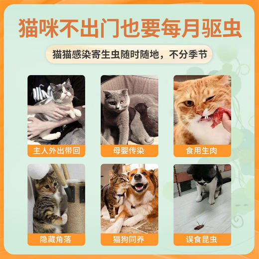 【内外同驱】海乐妙米尔贝肟片猫咪驱虫药猫专用56mg单颗拆售 商品图2