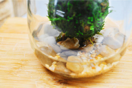 悬浮太空 （小） 商品图3