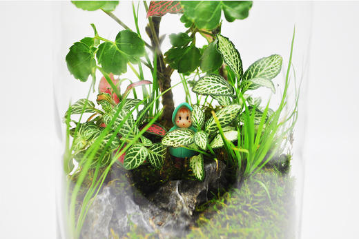 水晶森林 商品图6