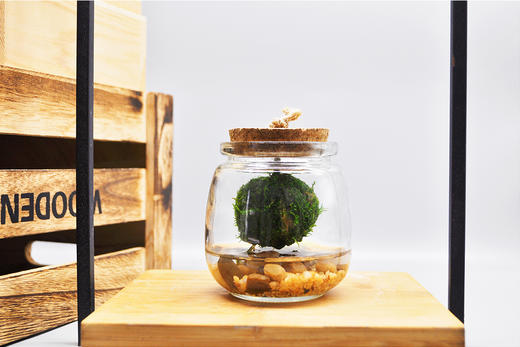 悬浮太空 （小） 商品图0