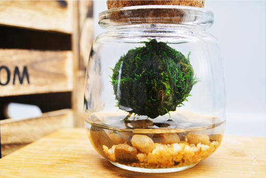 悬浮太空 （小） 商品图1