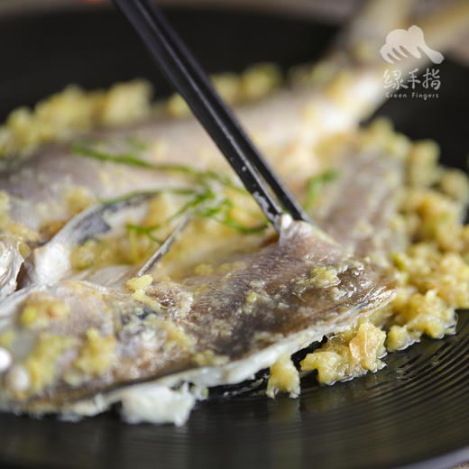 野生东山岛海钓午鱼（临期折扣，海钓鱼，嘴里可能有鱼钩，大家注意！！介意慎拍）| 合作生产 * Wild Eleutheronema tetradactylum | Coproduction 商品图4