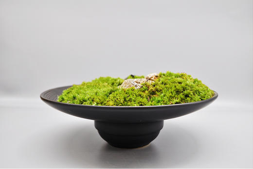 离离原上 商品图3