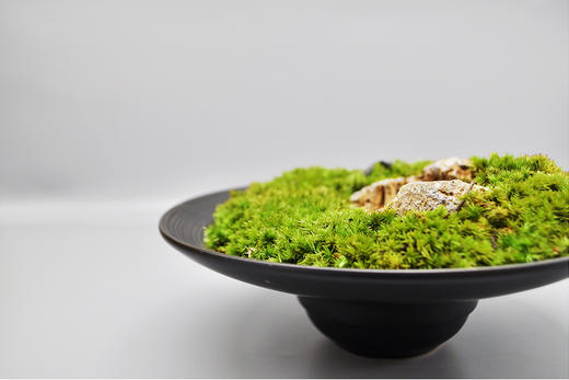 离离原上 商品图4