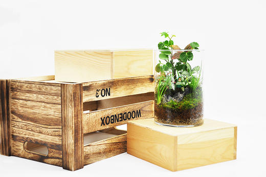 水晶森林 商品图9