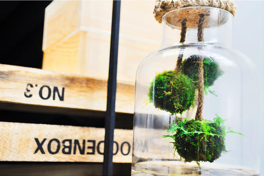 悬浮太空 （大） 商品图5