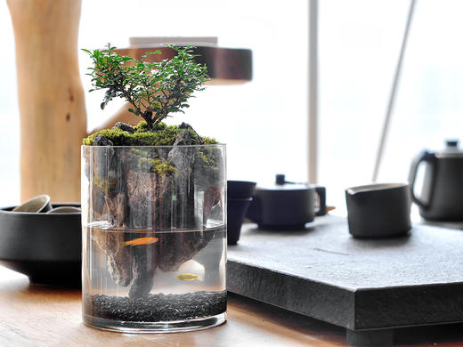 绝处逢生 商品图8