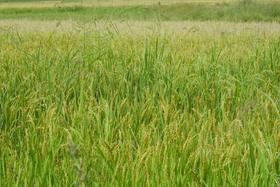  这个道理，很多人都不懂…… 