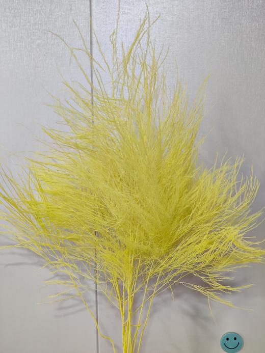 【干花】石草 多色可选 扎 商品图6