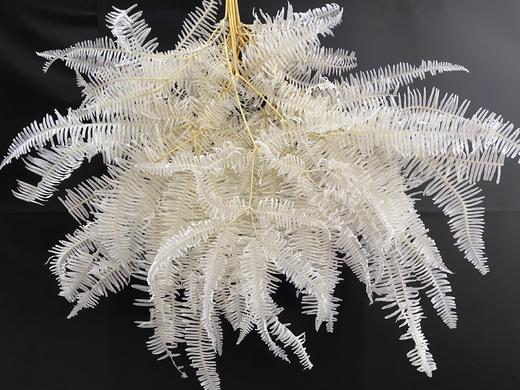 【干花】芒萁  白色  约10枝 商品图0