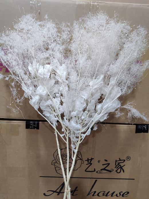 【干花】雾中情人 两色可选 商品图0