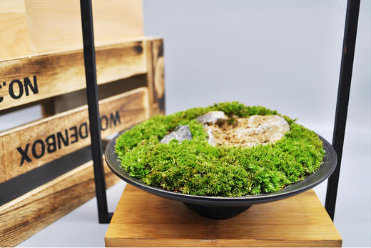 离离原上 商品图6