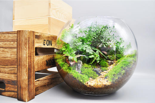 丛林法则 商品图11