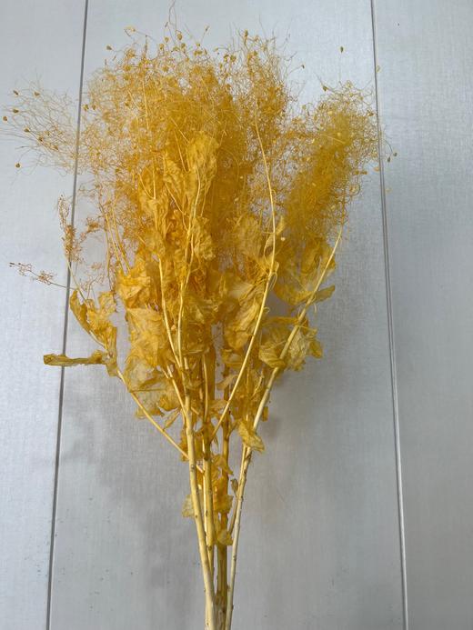 【干花】雾中情人 两色可选 商品图1