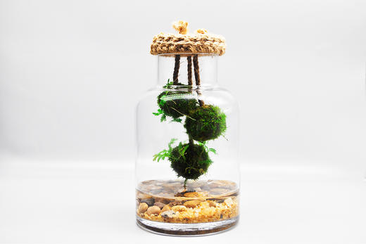 悬浮太空 （大） 商品图11