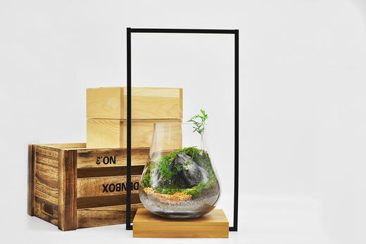 蒸蒸日上 商品图4