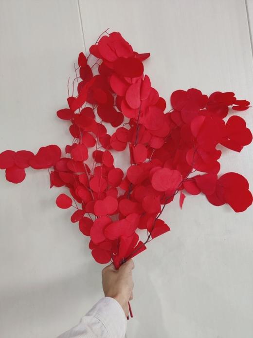 【干花】苹果叶 多色可选 扎 商品图3
