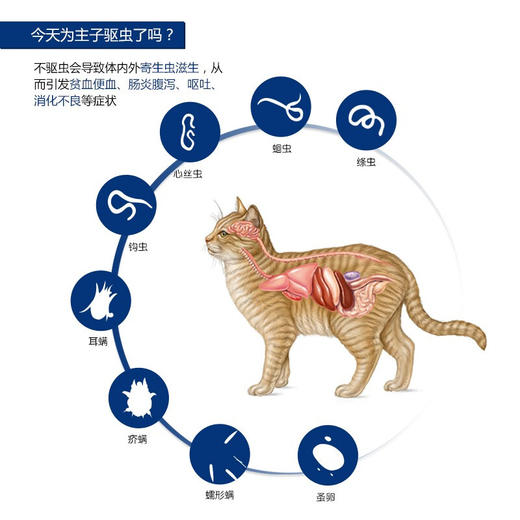 【内外同驱】海乐妙米尔贝肟片猫咪驱虫药猫专用56mg单颗拆售 商品图1
