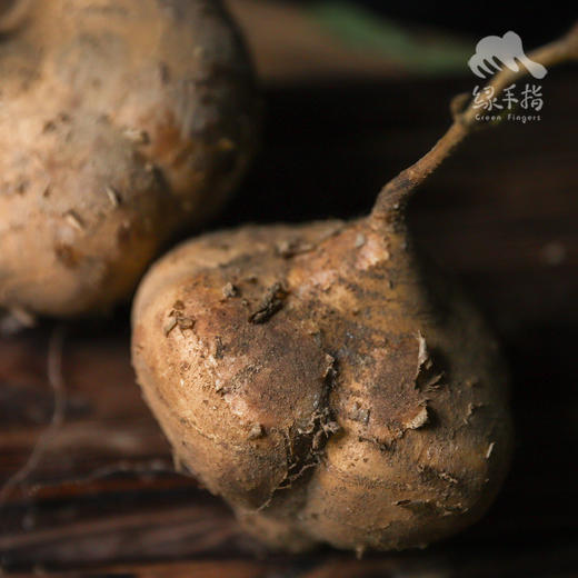 生态沙葛 | 合作生产*Ecological Jicama | Coproducted 商品图2