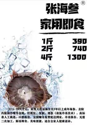 大连野生底播冷冻即食海参