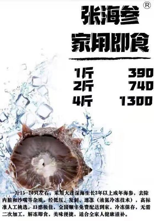 大连野生底播冷冻即食海参 商品图0