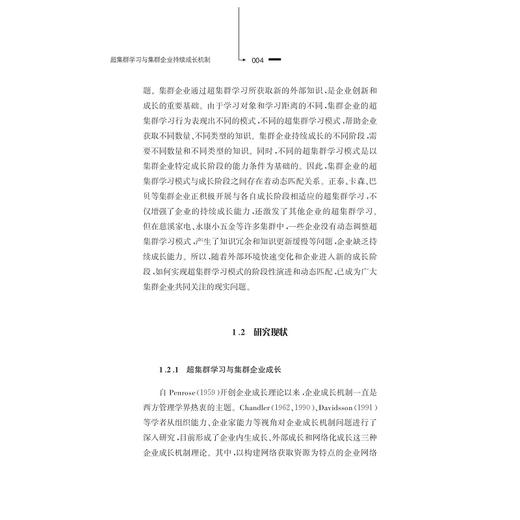 超集群学习与集群企业持续成长机制：创新搜寻视角的研究/邬爱其/方仙成/浙江大学出版社 商品图4