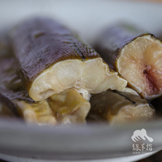 野生东山岛土龙（食蟹豆齿鳗）| 合作生产*Wild Pisoodonophis cancrivorus | Coprodution 商品图4