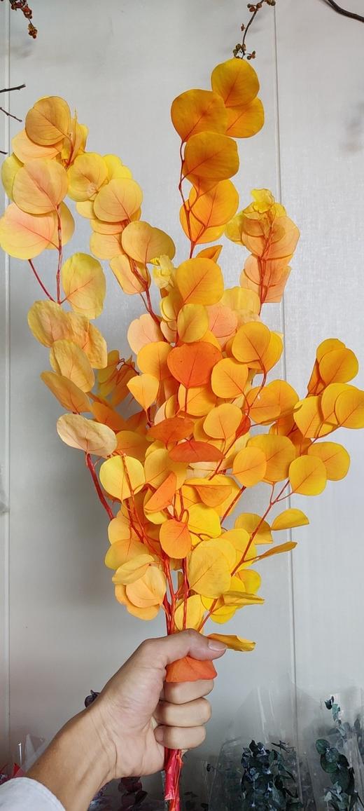 【干花】苹果叶 多色可选 扎 商品图5