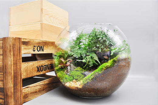 丛林法则 商品图10