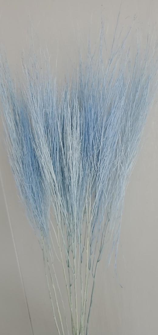 【干花】石草 多色可选 扎 商品图4