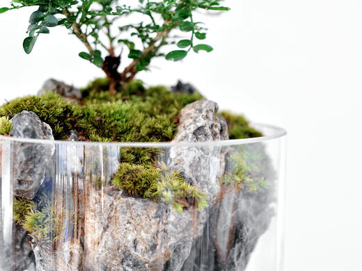 绝处逢生 商品图9