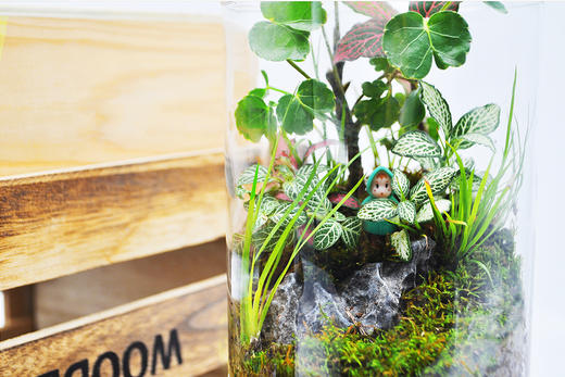 水晶森林 商品图5