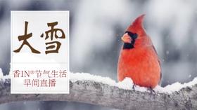 节气生活 大雪早直播
