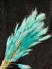 【干花】兔尾草 多色可选 扎 商品缩略图8