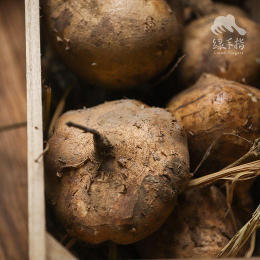 生态沙葛 | 合作生产*Ecological Jicama | Coproducted 商品图5