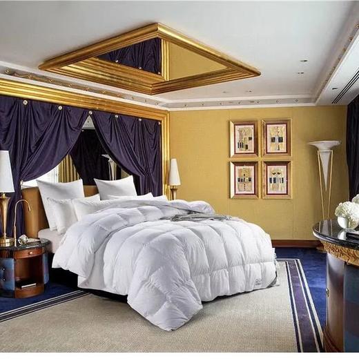 蒙口鹅绒被 商品图2