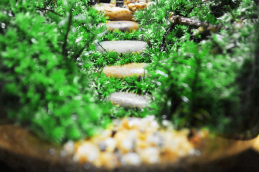 山居 商品图2