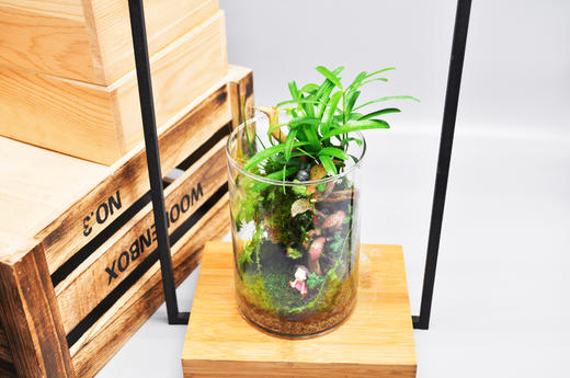 悬浮之境 商品图0