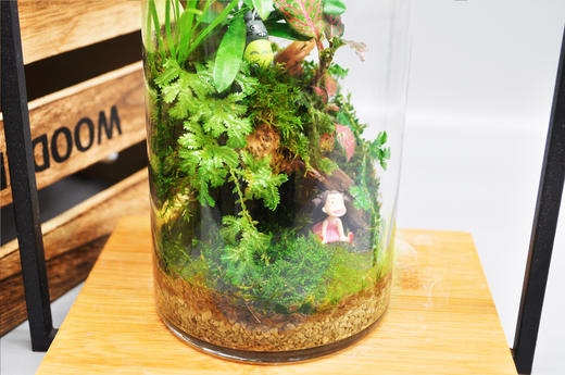 悬浮之境 商品图1