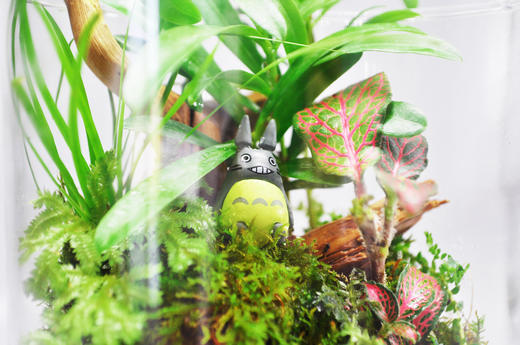 悬浮之境 商品图3