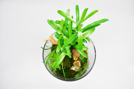 悬浮之境 商品图5