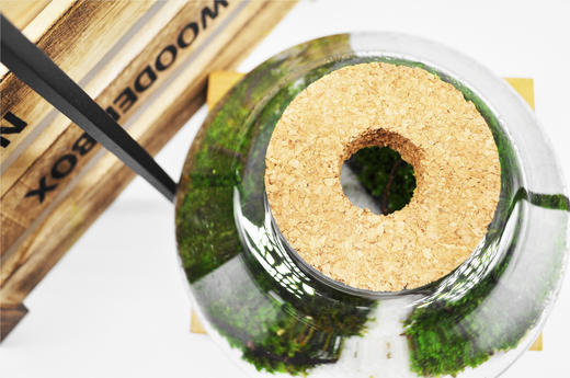 踏雪寻梅 商品图1