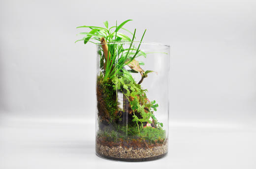 悬浮之境 商品图6