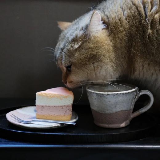 双层草莓芝士蛋糕（顺丰全国发，周一店休，按订单顺序发货。） 商品图2