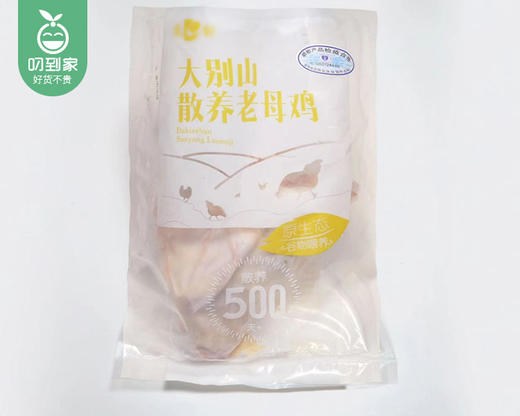 大别山散养老母鸡（约1kg/只） 商品图6
