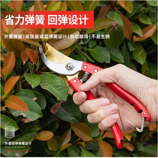 得力DL580231专业果农修枝剪全金属手柄8"65Mn镀钛刀头(红) 商品图4