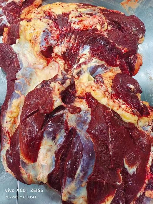 草原散养黄牛肉5斤 商品图2
