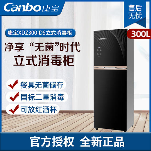 康宝（Canbo）商用消毒柜立式大型消毒柜家用高温商用厨房消毒碗柜大容量双门碗筷高温 XDZ300-DS 商品图0